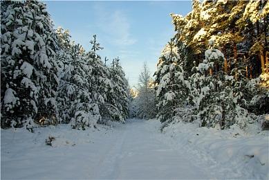 《黑神话：悟空》试玩展台排长队 愿望单排名又上升